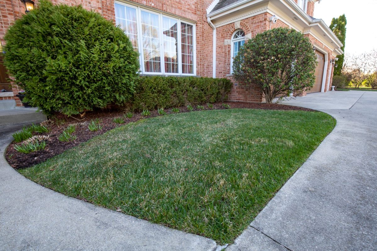 Garden Design 6 by Moane Landscaping