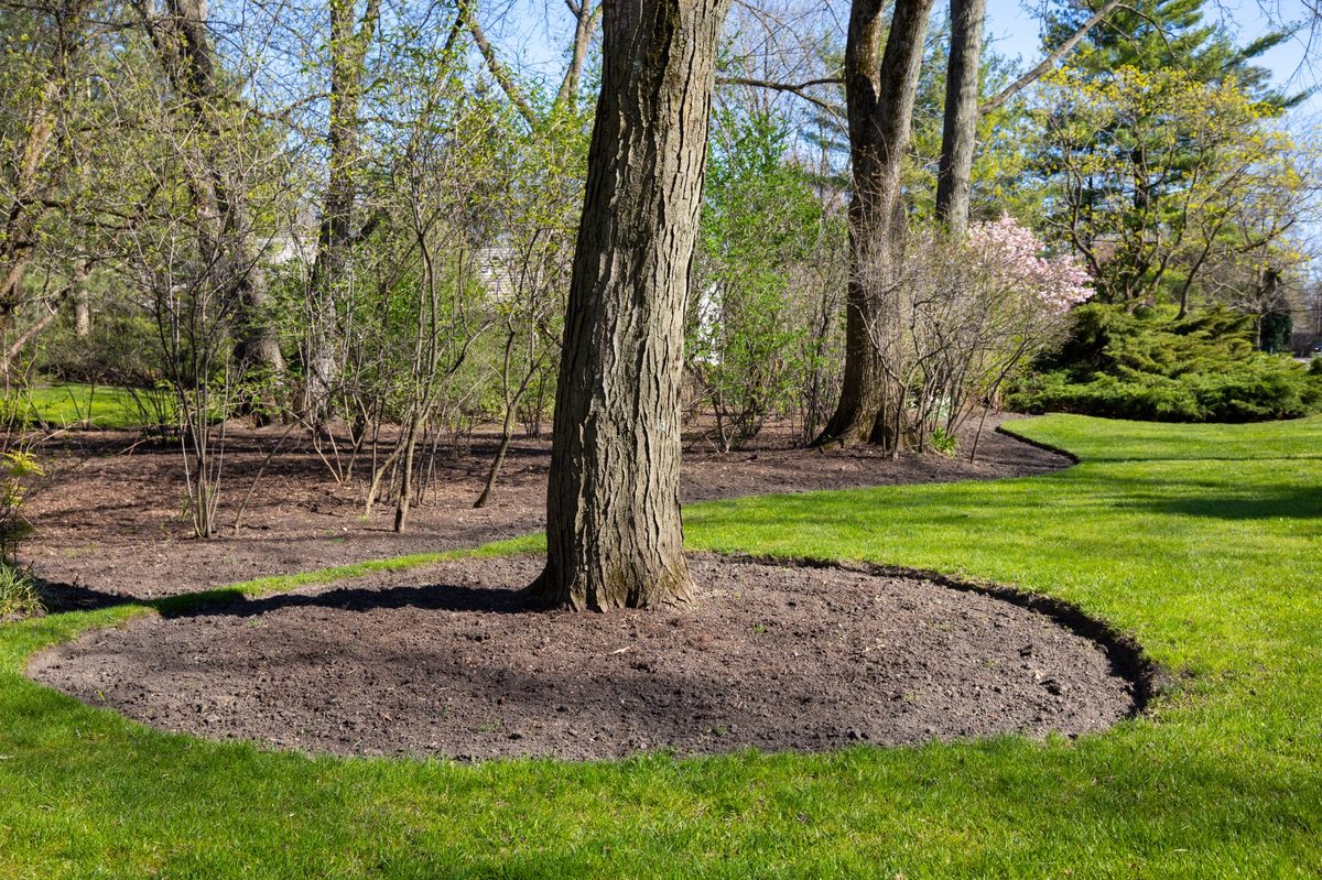 Landscaping 2  by Moane Landscaping