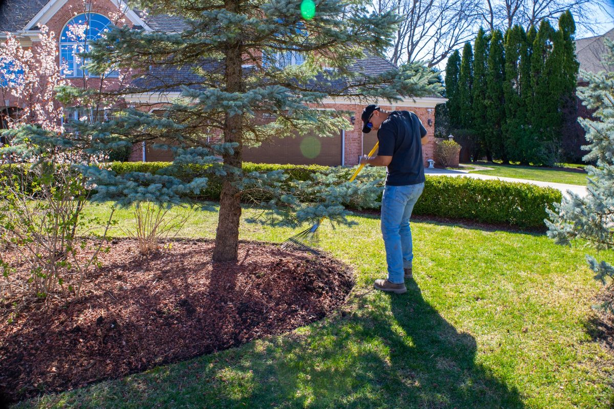 Landscaping 3  by Moane Landscaping